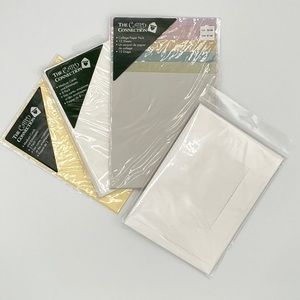Blank Cards Envelopes Vellum DIY Crafting